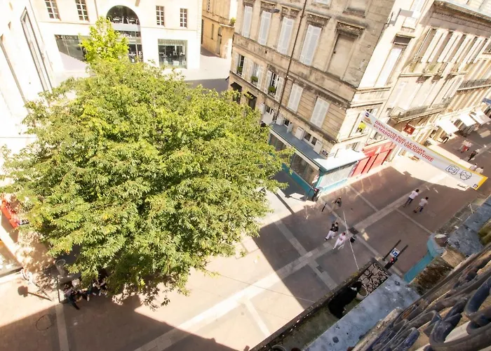 Appartement Magnifique Avec 3 En Hypercentre *